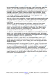 Kansainvälinen politiikka | Essee