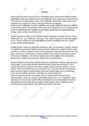 Stressin syyt, oireet ja lievitys | Essee | Stressi