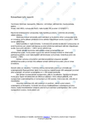 Aineiden väliset sidokset | Kokeellisen työn raportti